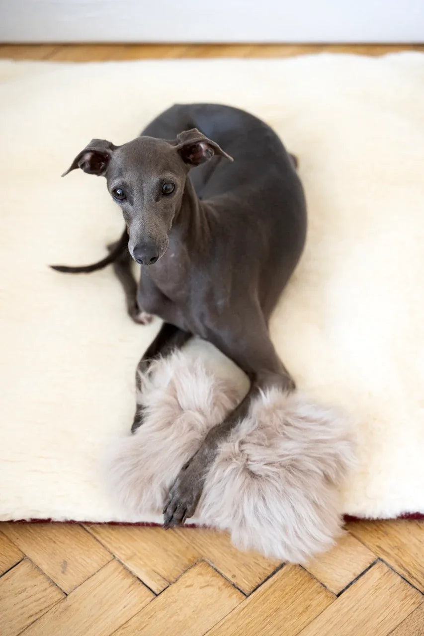 Natural piel de oveja perro Toy - Bone - beige