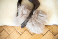 Natural piel de oveja perro Toy - Bone - beige