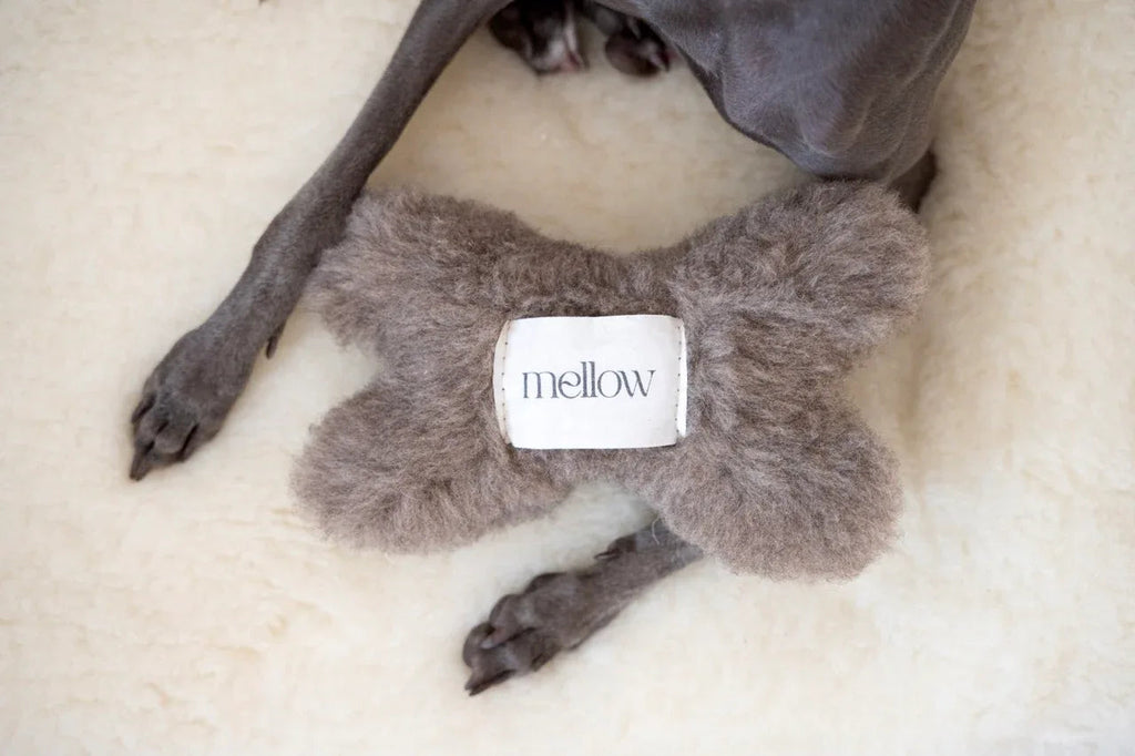 Natural lana Hund Toy - Bone - beige
