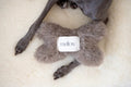 Natural lana Hund Toy - Bone - beige