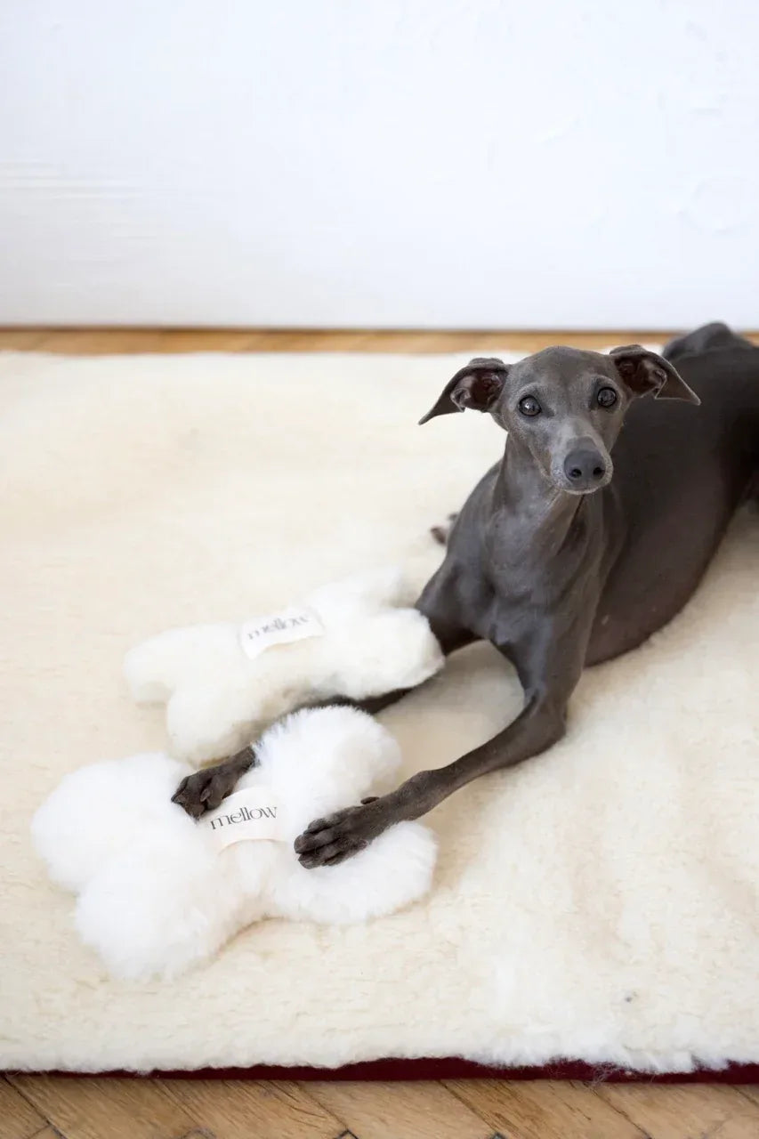 Natural piel de oveja perro Toy - Bone - beige