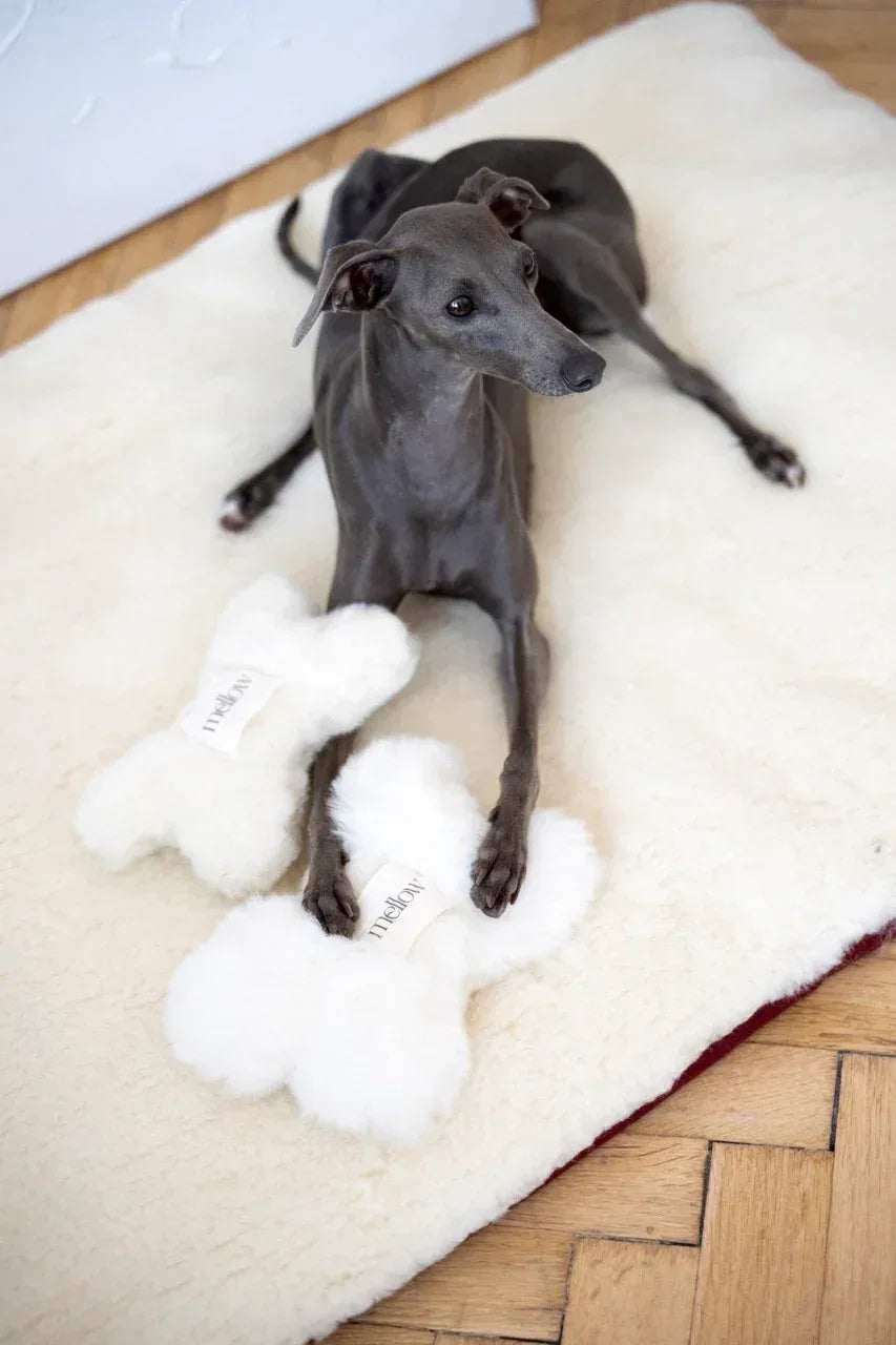 Natural lana perro Toy - Bone - blanco