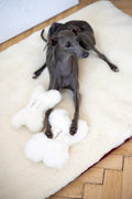 Natural lana perro Toy - Bone - blanco