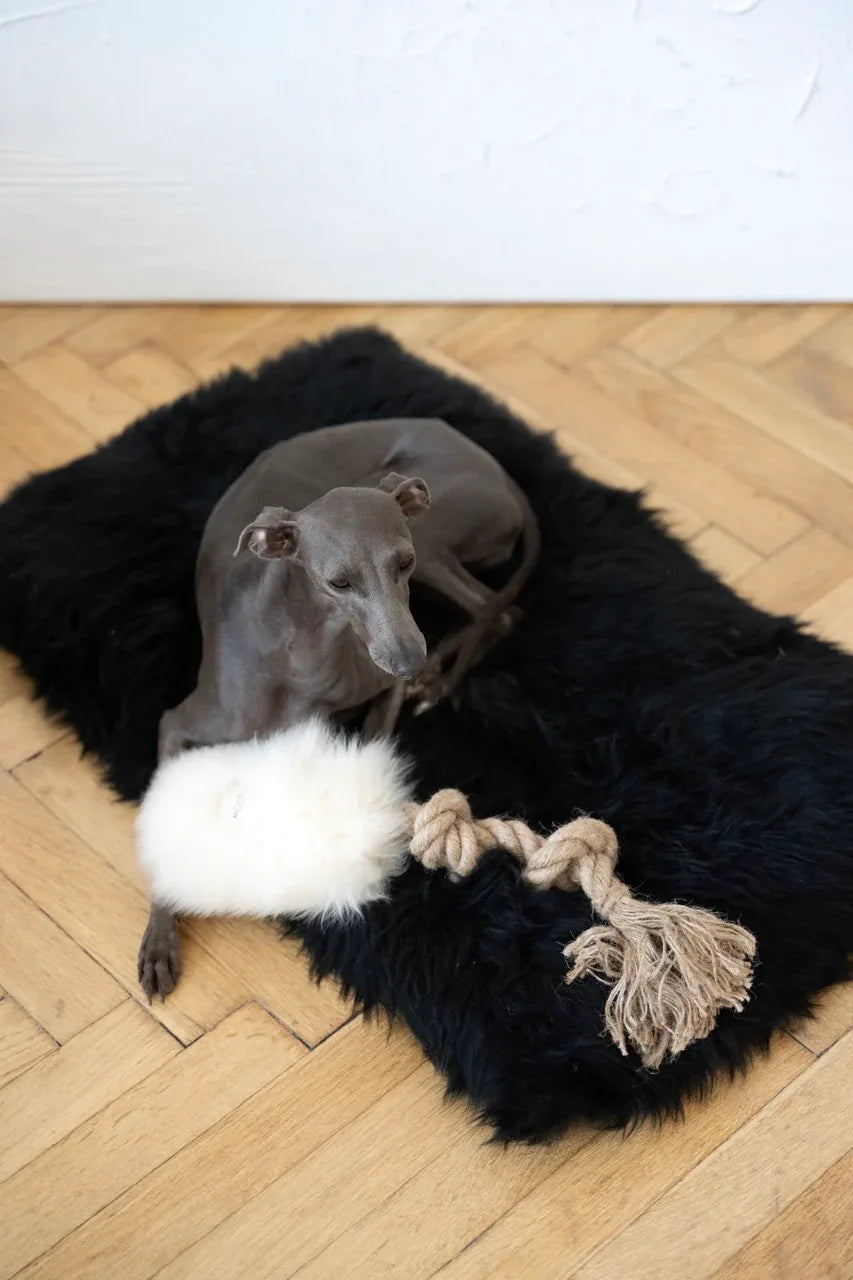 Natural piel de oveja perro Tug Toy - blanco