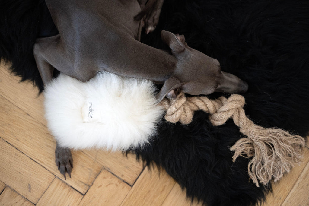 Natural piel de oveja perro Tug Toy - blanco