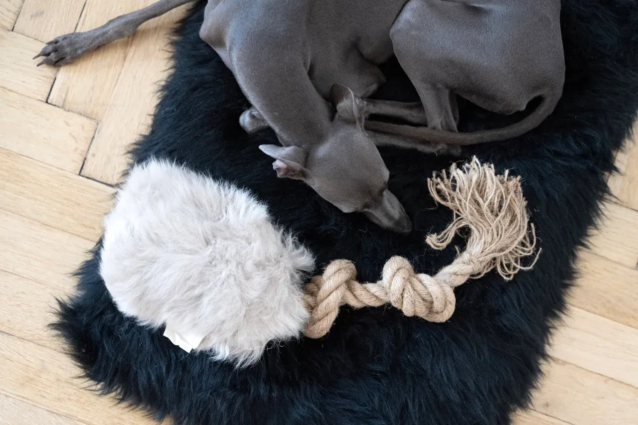 Natural piel di oveja cane Tug Toy - beige