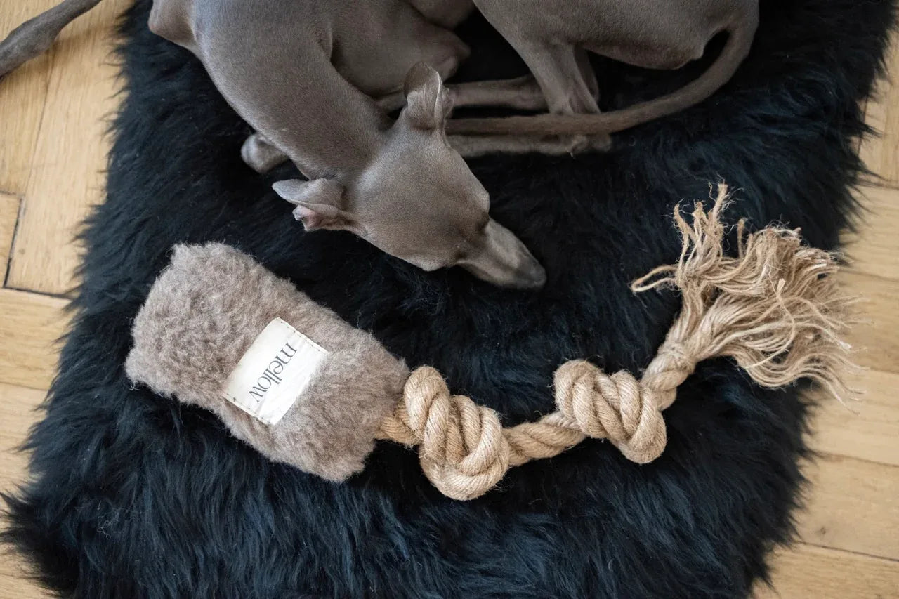 Natural lana Hund Tug Toy - beige