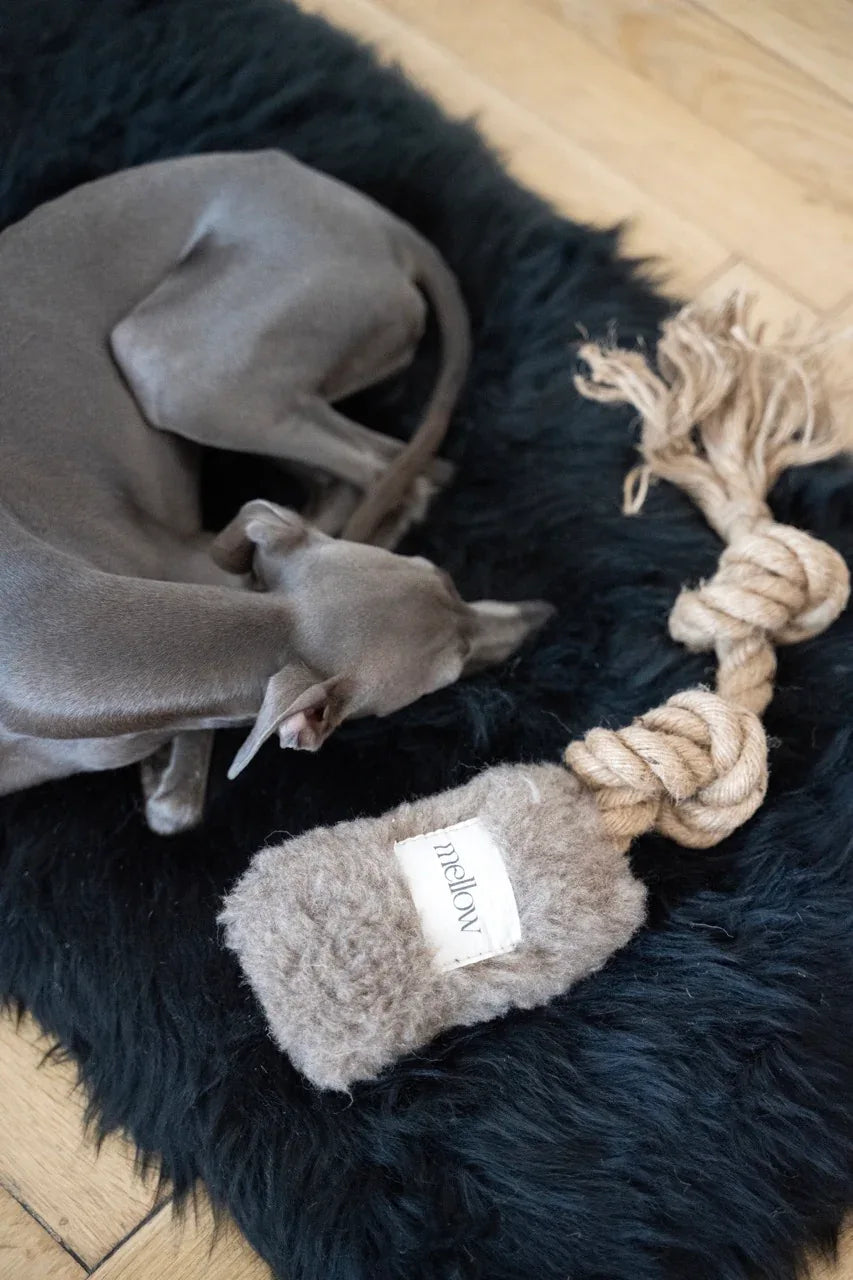 Natural lana perro Tug Toy - beige
