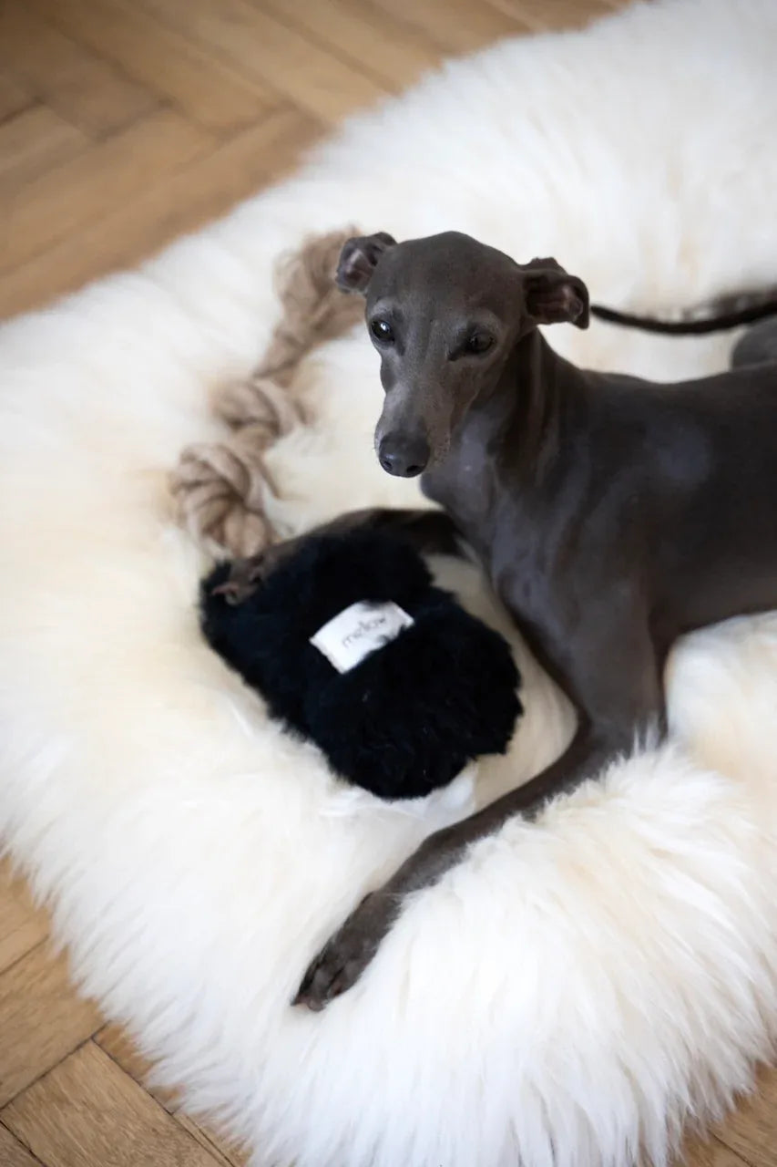 Natural piel de oveja perro Tug Toy - negro