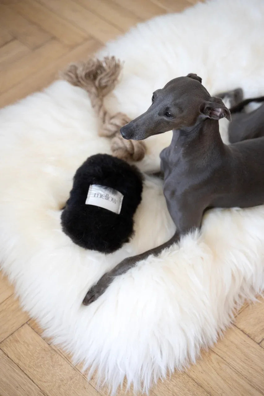 Natural piel de oveja perro Tug Toy - negro