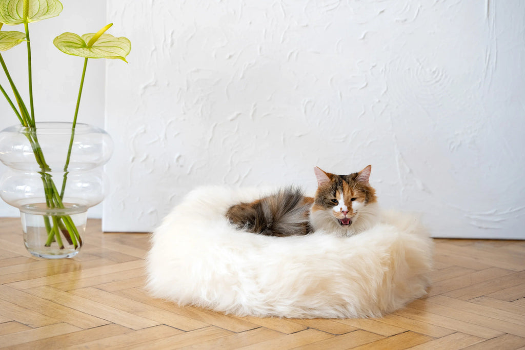 Panier redonda de peau naturelle de oveja pour animaux - blanc