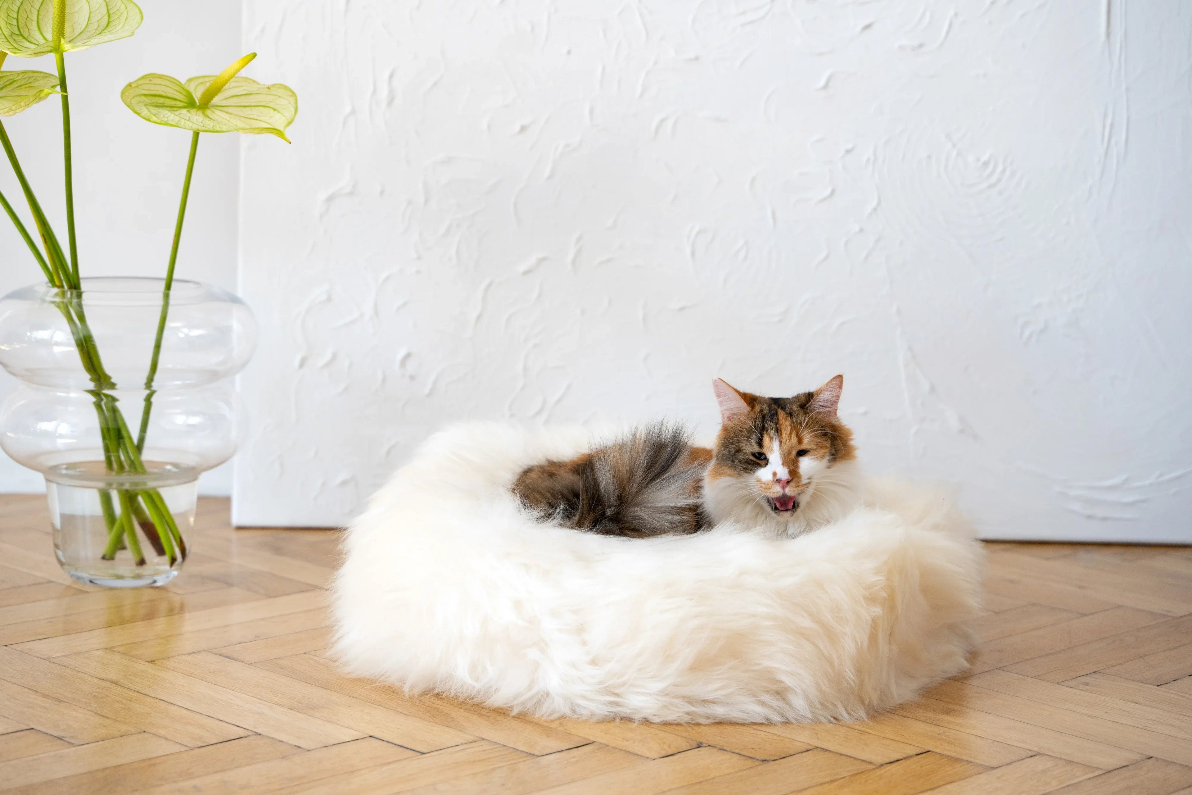 Panier redonda de peau naturelle de oveja pour animaux - blanc