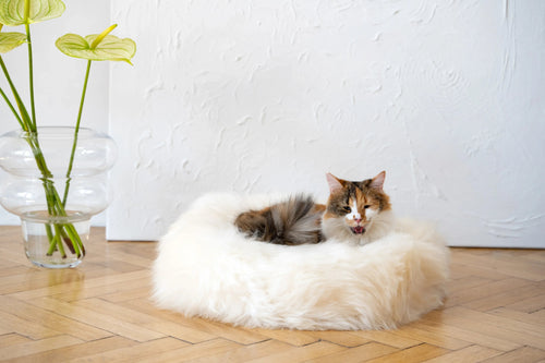 Cama redonda de piel natural de oveja para mascotas - blanco