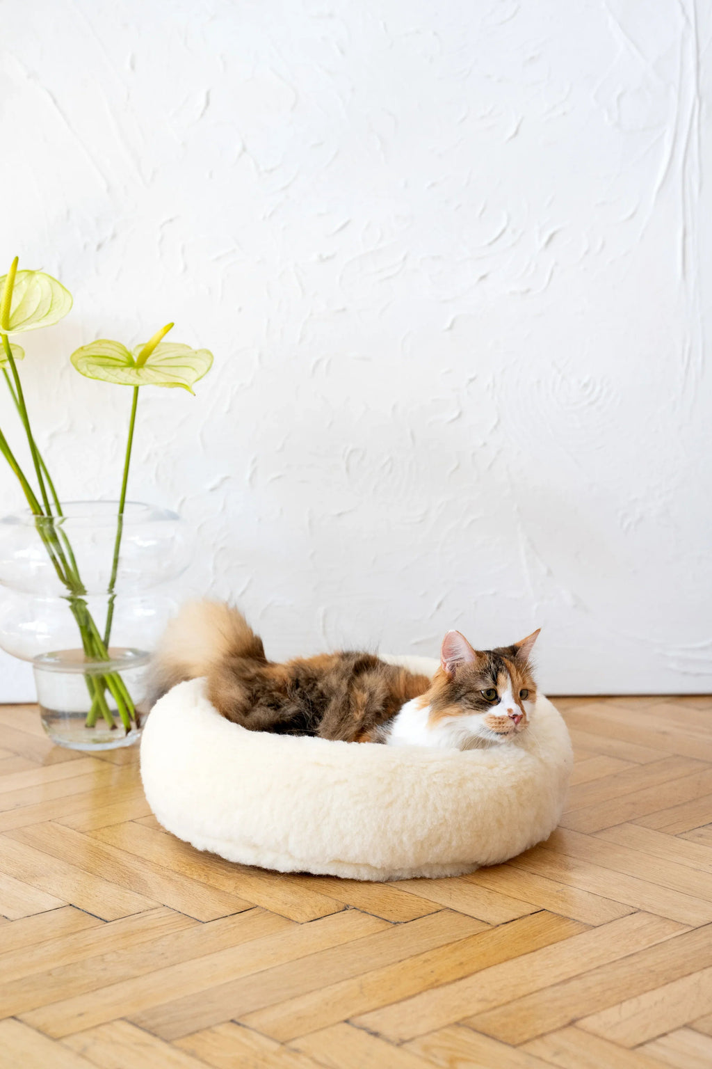 Cama redonda de lana natural para mascotas - blanco