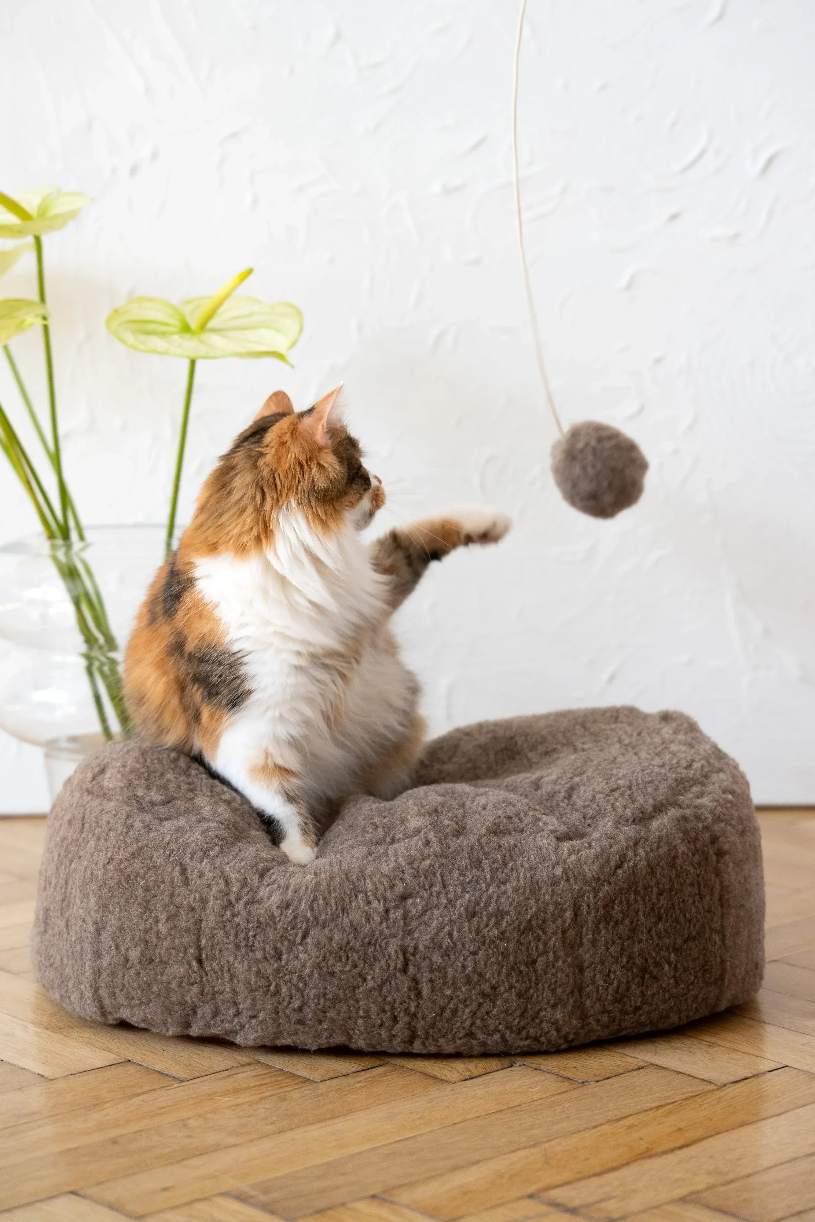 Natural piel de oveja gato Toy: Ball