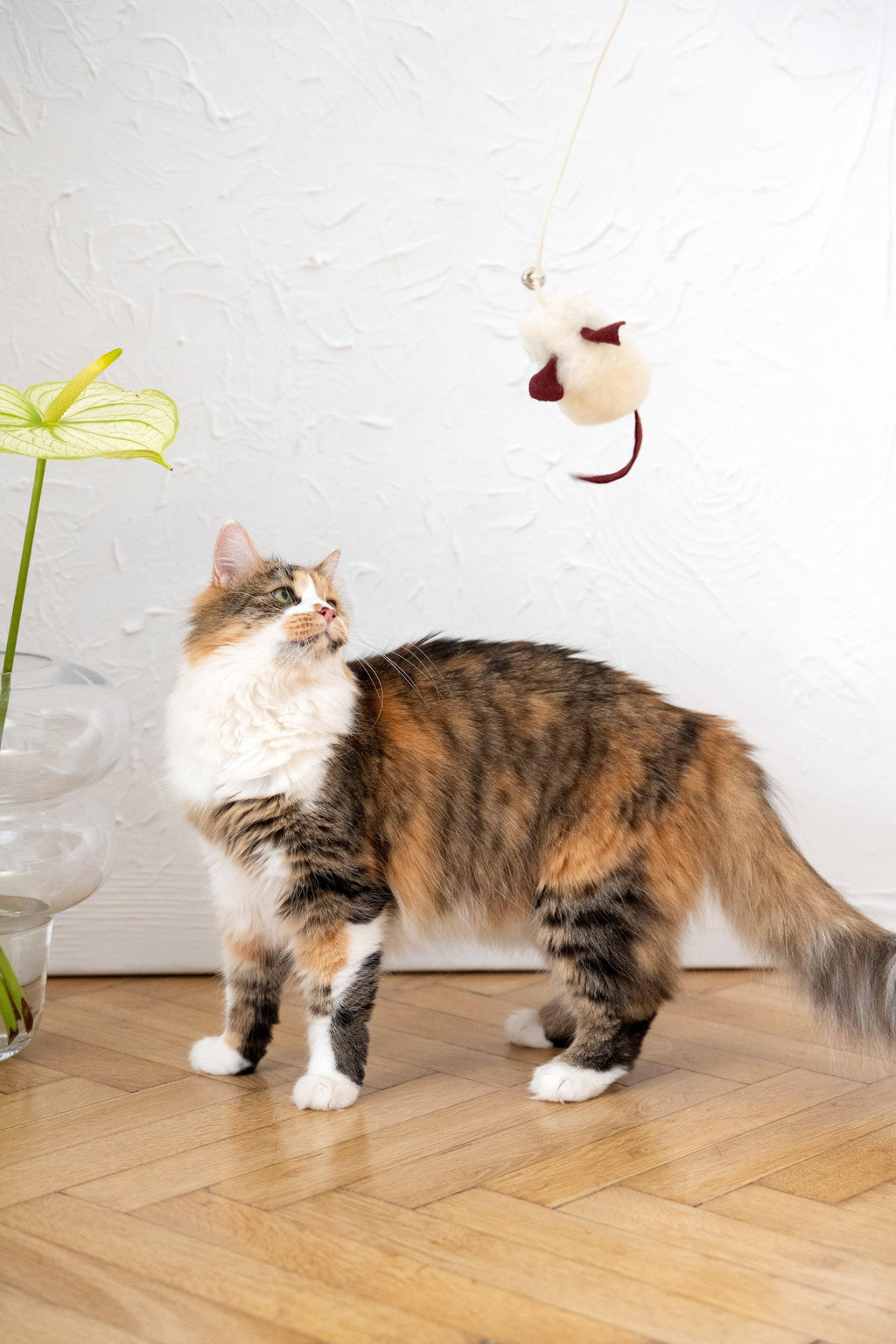 Natural lana Katze Toy: Mouse