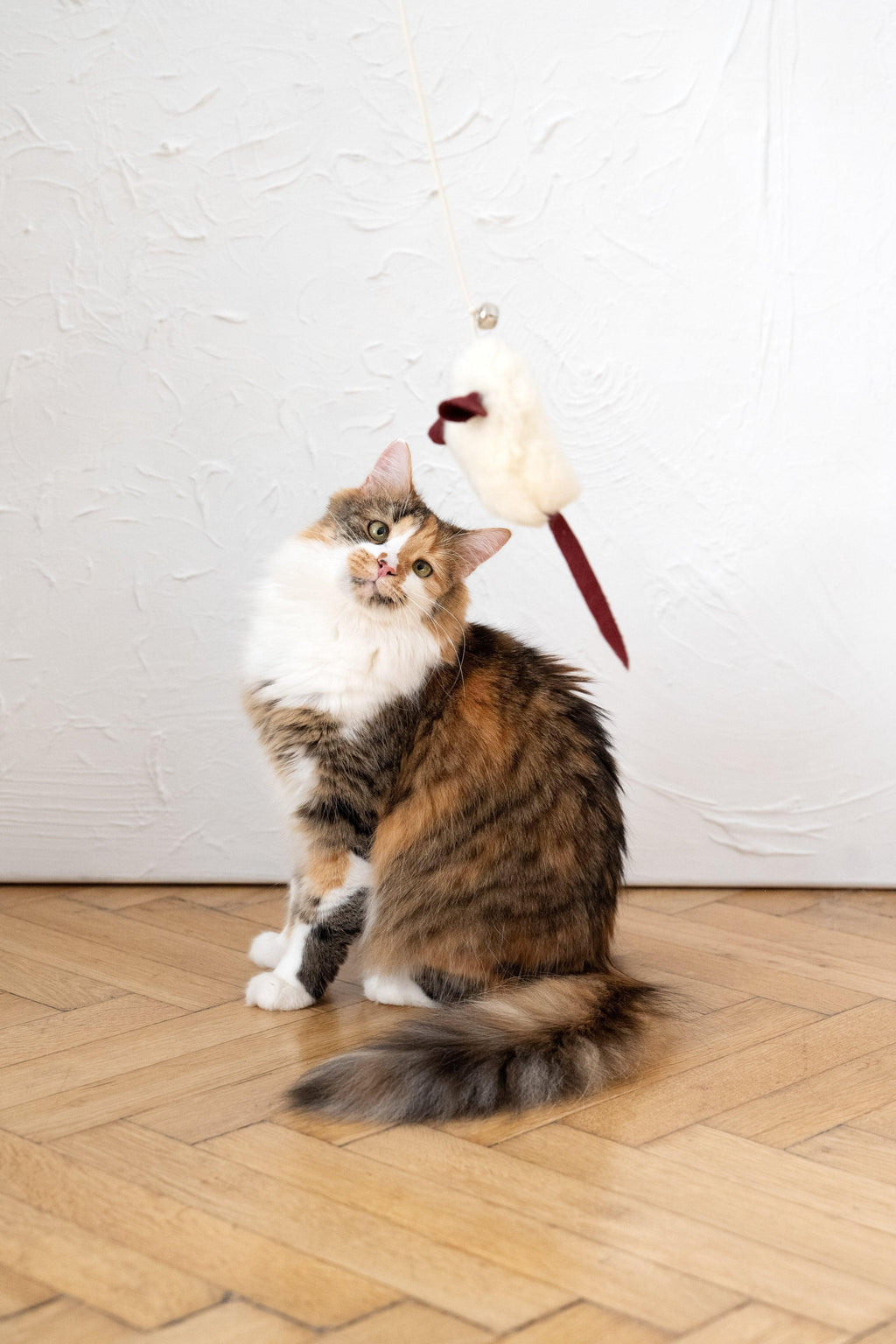 Natural lana Katze Toy: Mouse