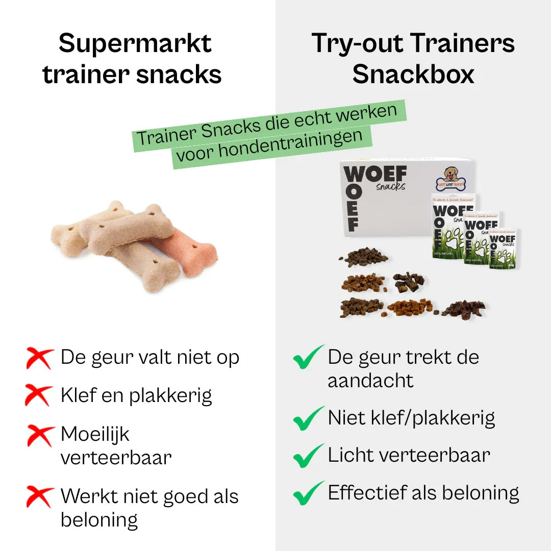 Trainers Snackbox