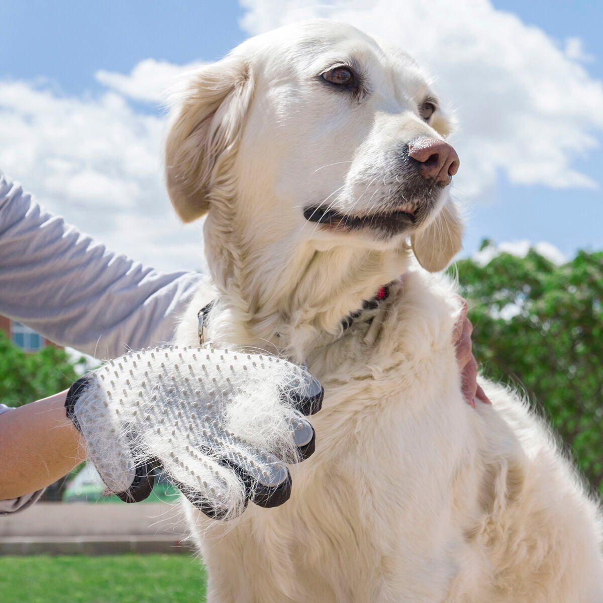 Animal Brush & Massage Glove Relpet InnovaGoods