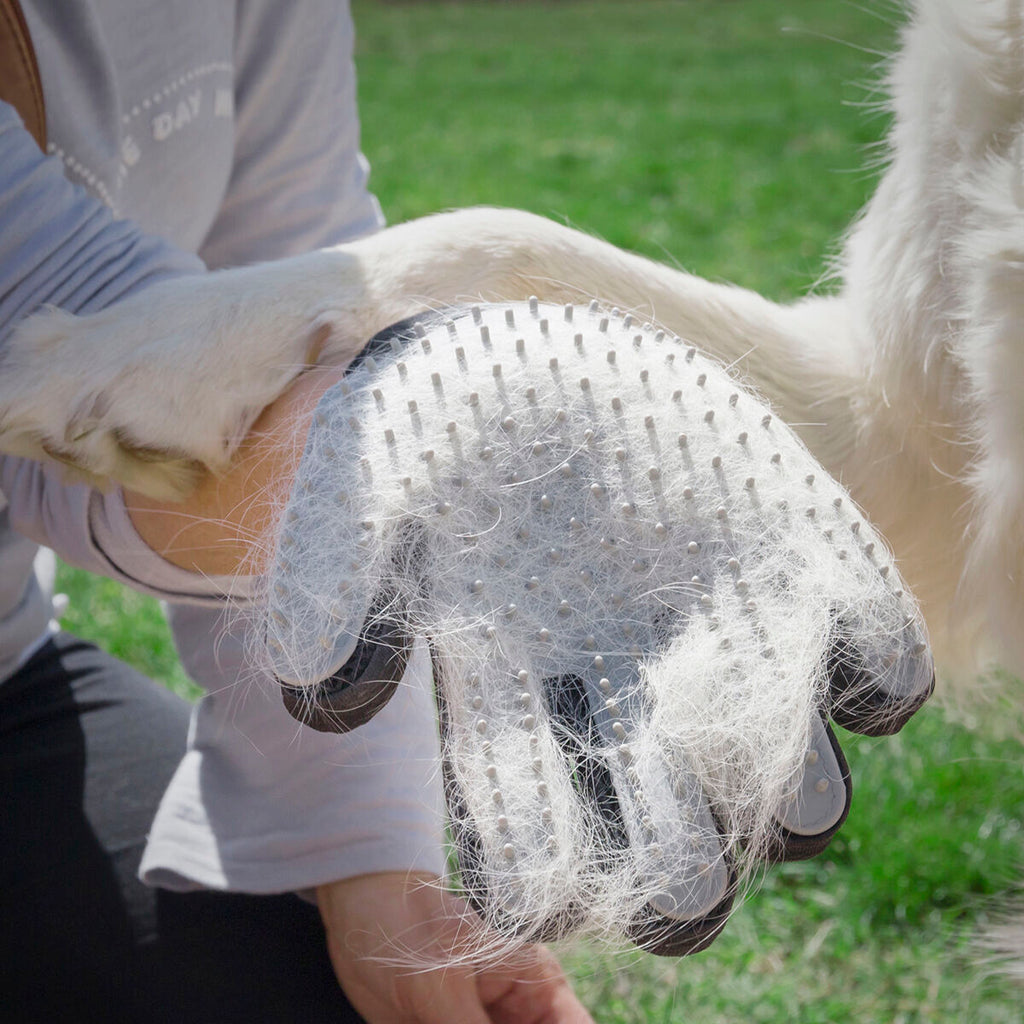 Mascota Brush & Massage Glove Relpet InnovaGoods