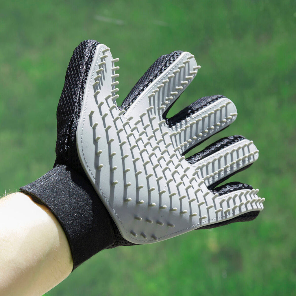 Mascota Brush & Massage Glove Relpet InnovaGoods