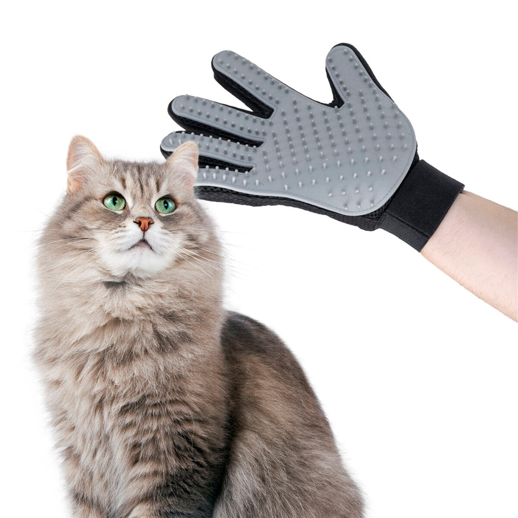 Mascota Brush & Massage Glove Relpet InnovaGoods