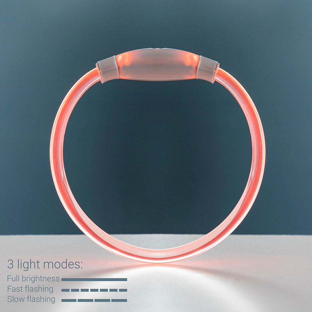 LED Collar for mascotas Petlux InnovaGoods