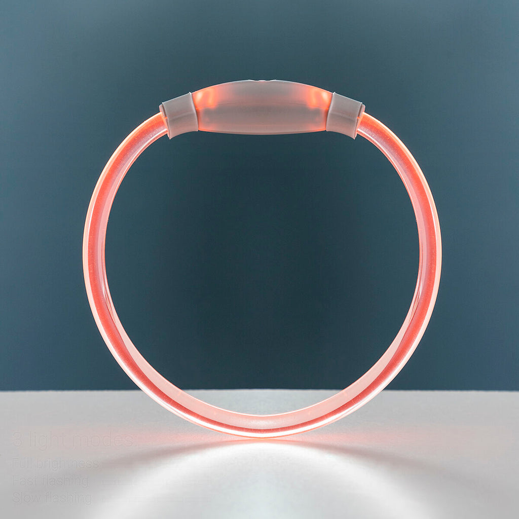 LED Collar for mascotas Petlux InnovaGoods