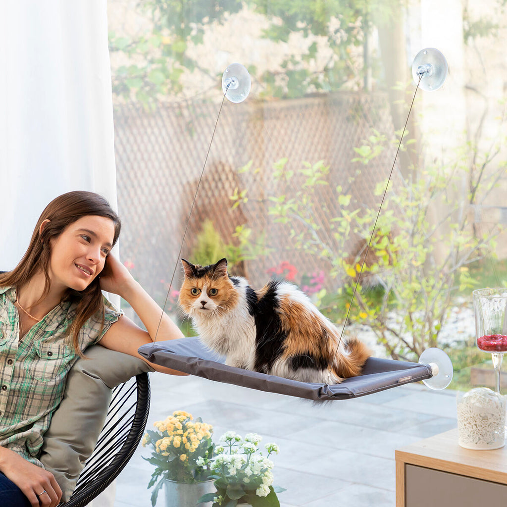 Hanging gato Hammock Catlax InnovaGoods