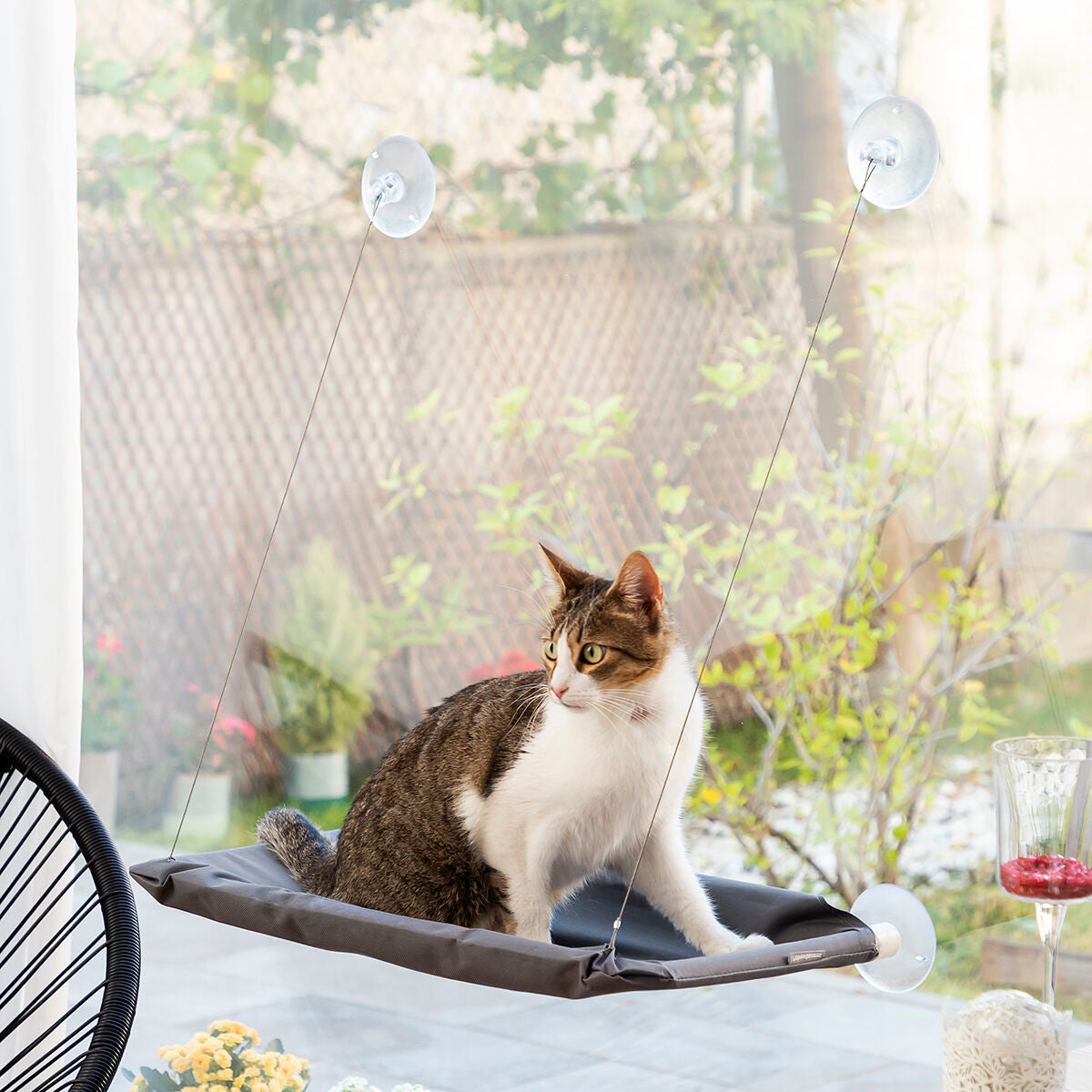 Hanging gato Hammock Catlax InnovaGoods