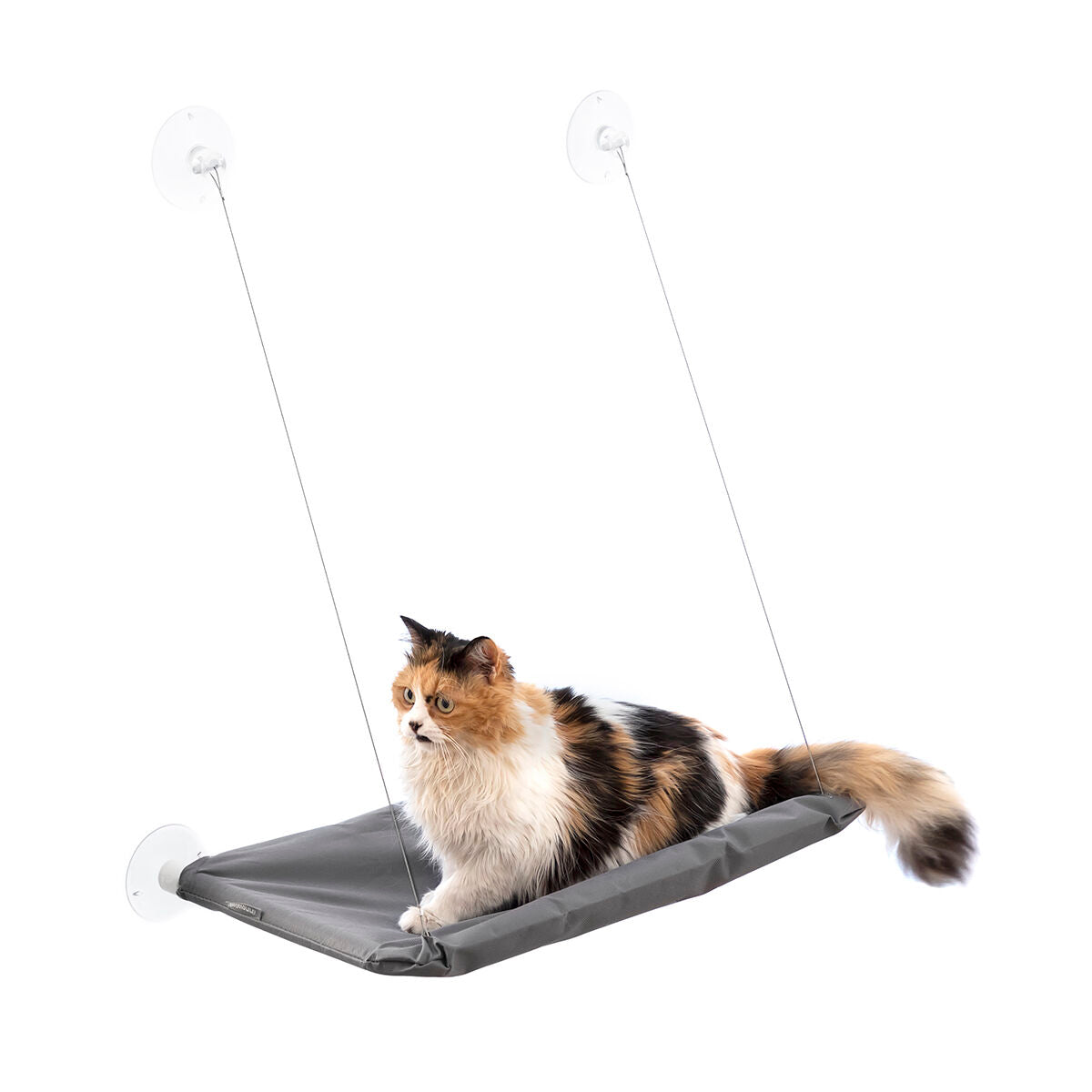 Hanging gato Hammock Catlax InnovaGoods