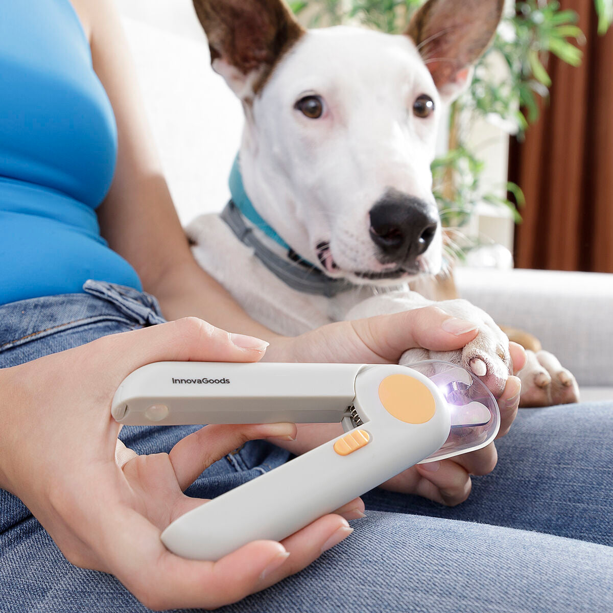 Mascota Nail Clippers with LED Clipet InnovaGoods
