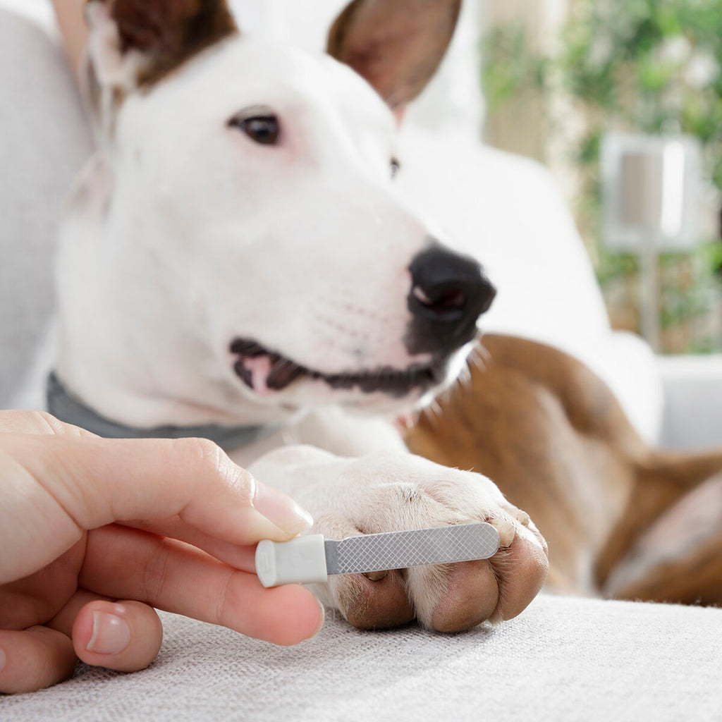 Mascota Nail Clippers with LED Clipet InnovaGoods