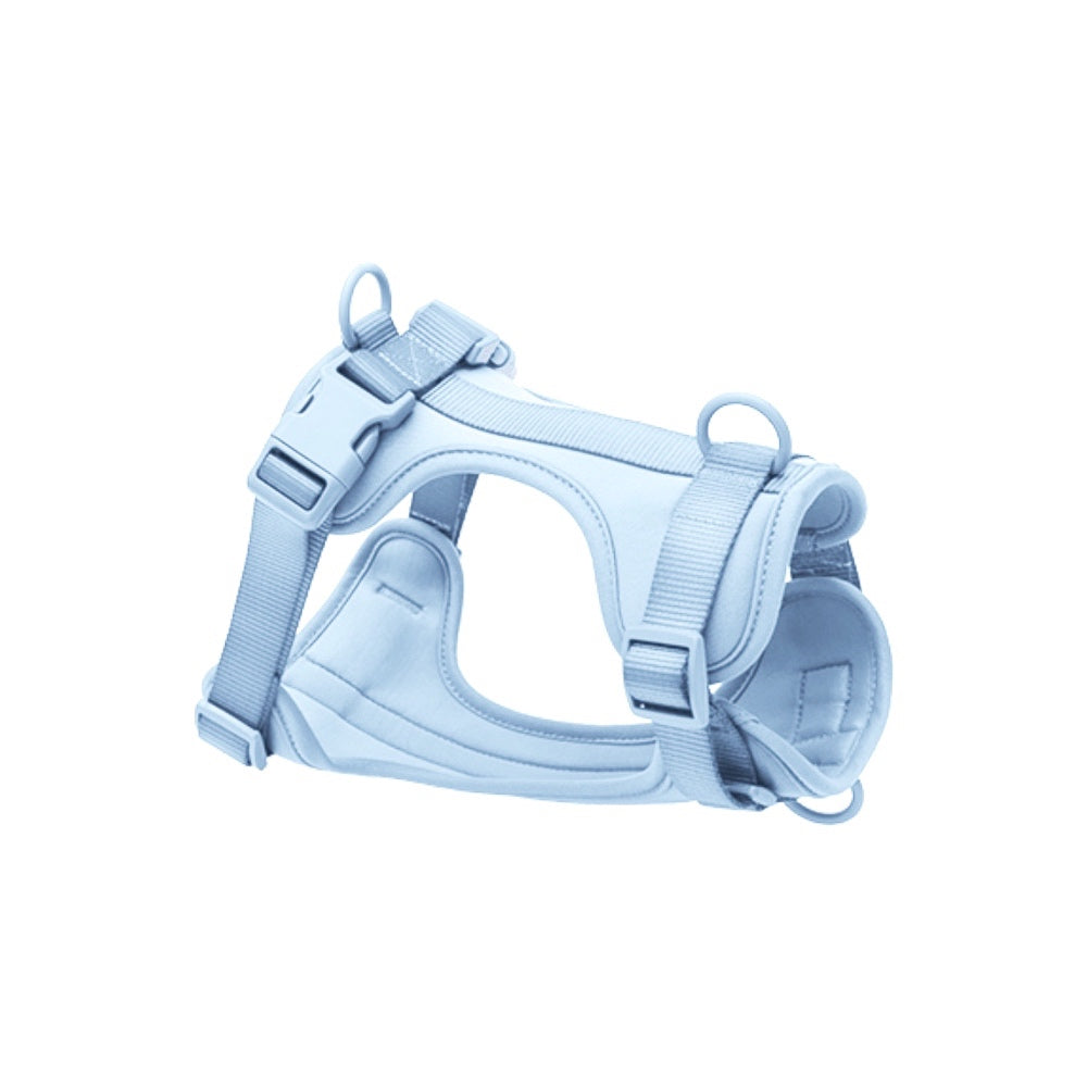 Harness for dog