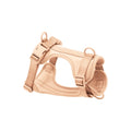 Harness for dog