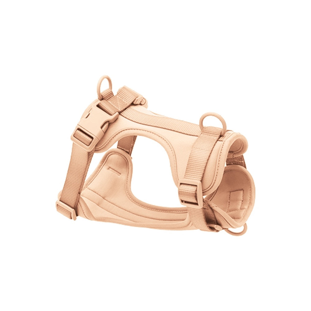 Harness for dog
