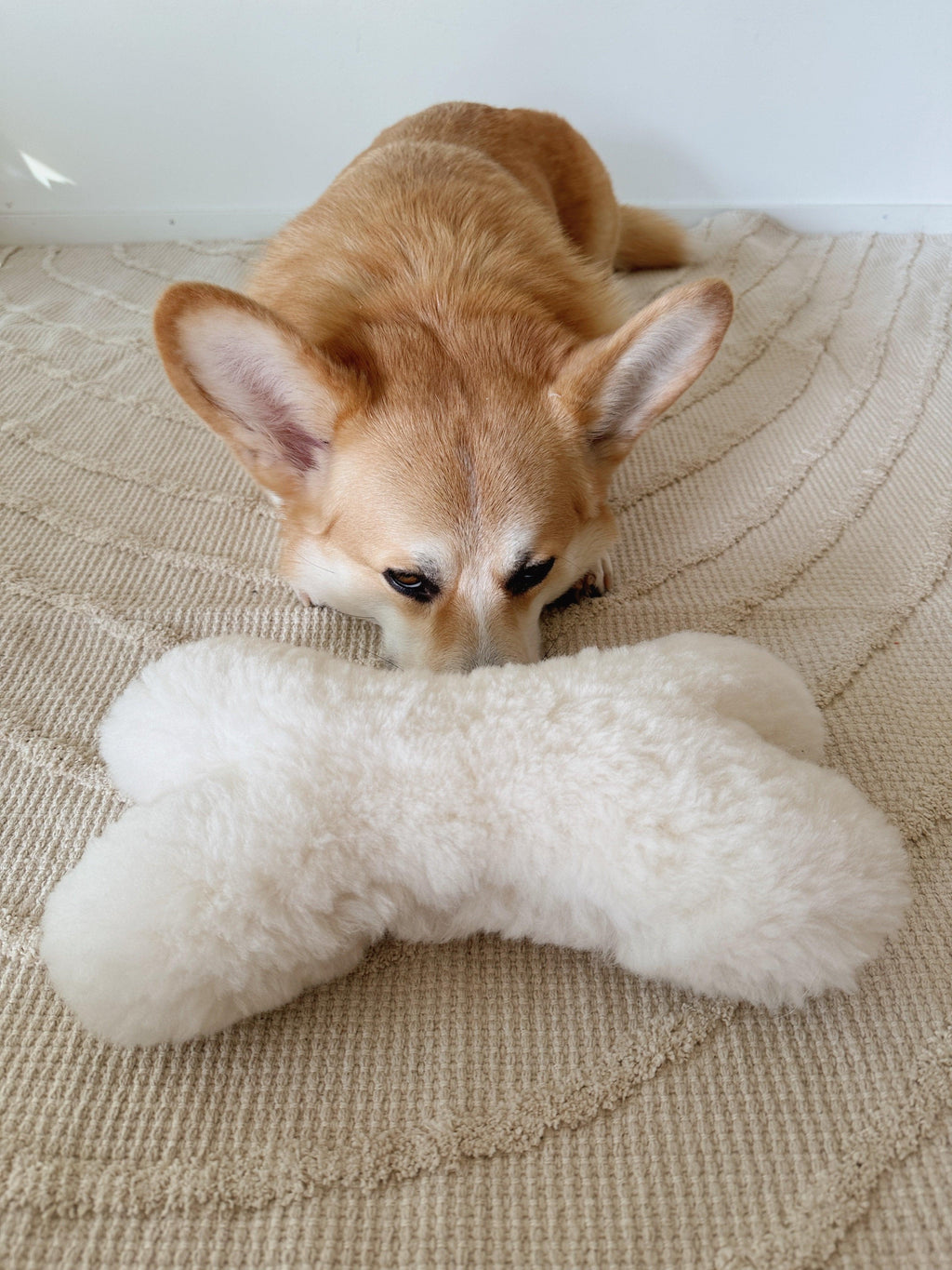 Natural lana perro Toy - Bone - blanco