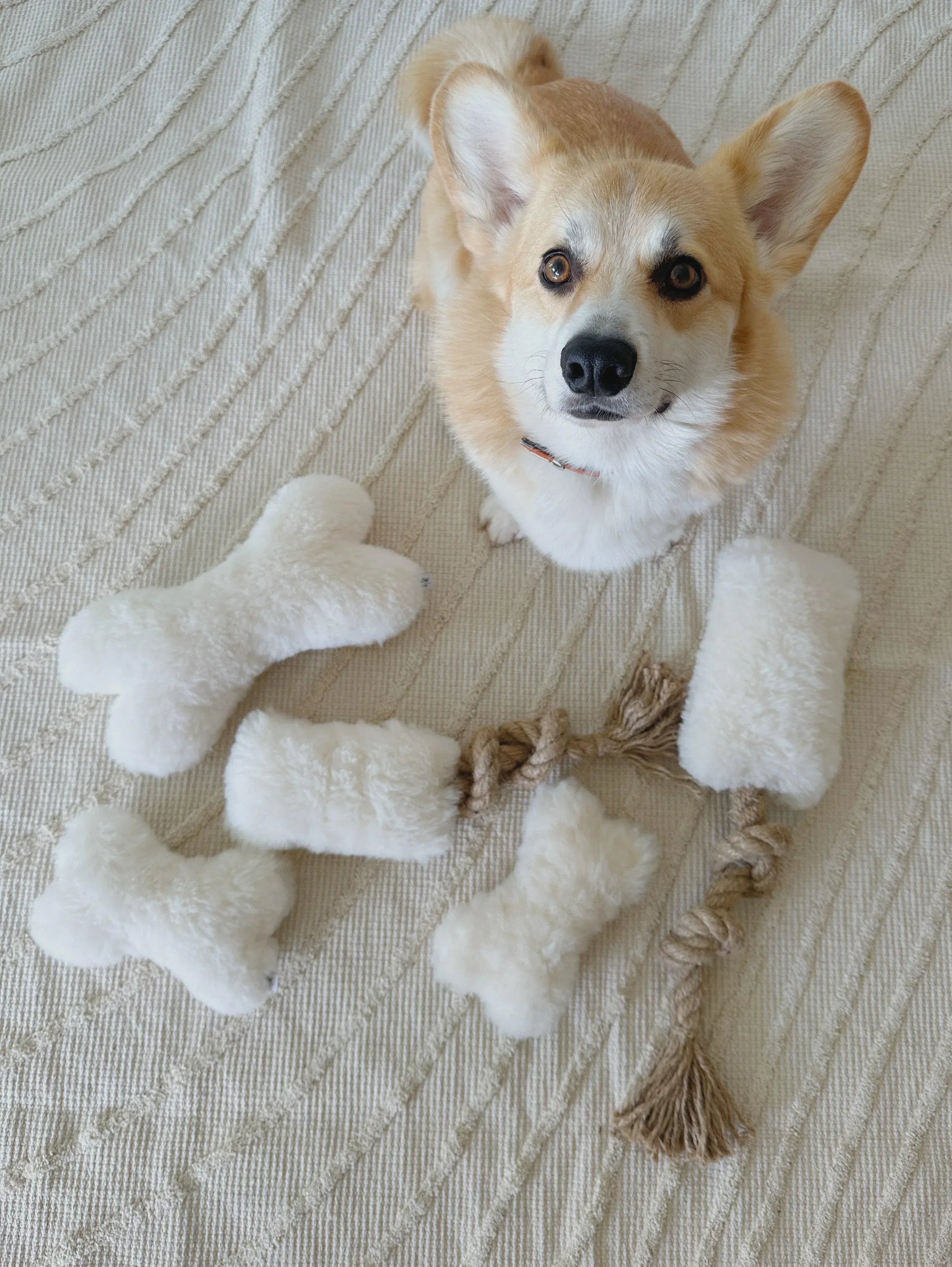 Natural piel de oveja perro Toy - Bone - negro
