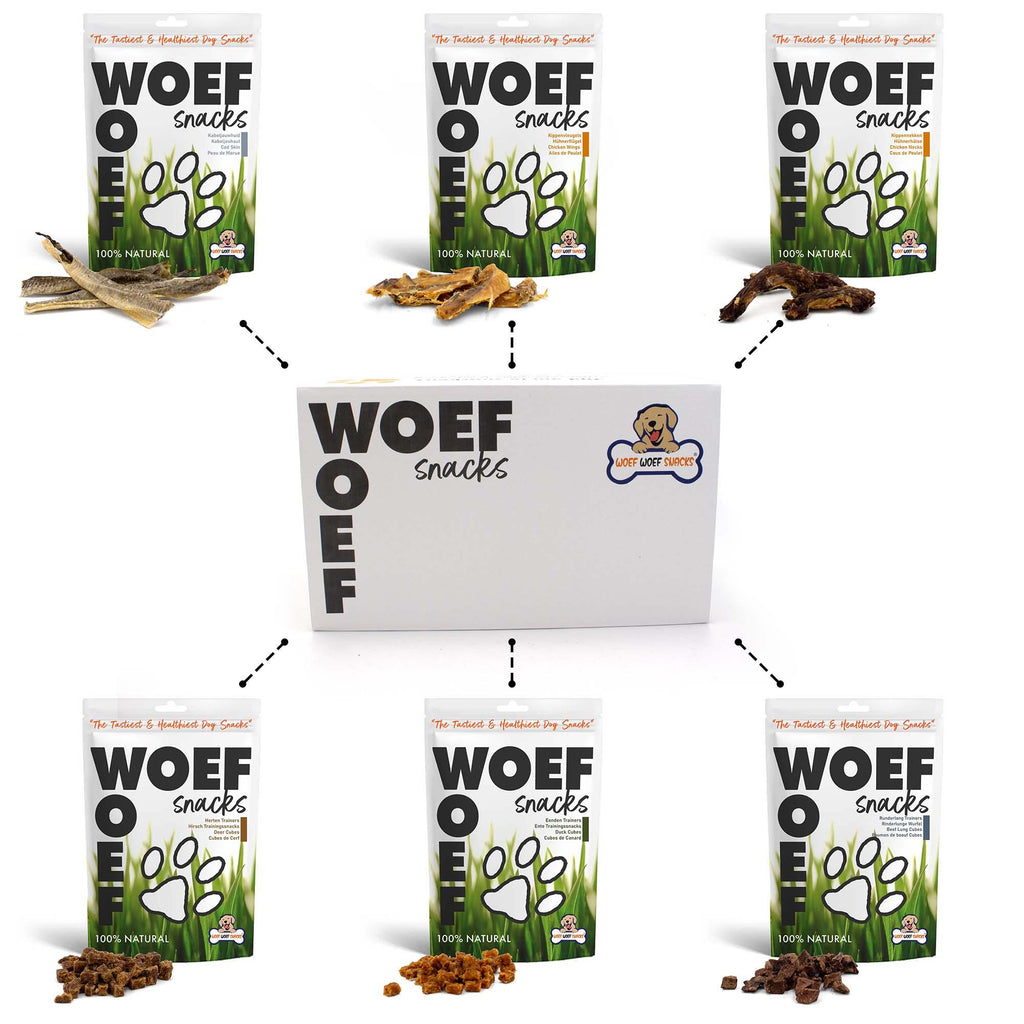 Snackbox natural für Hunde S