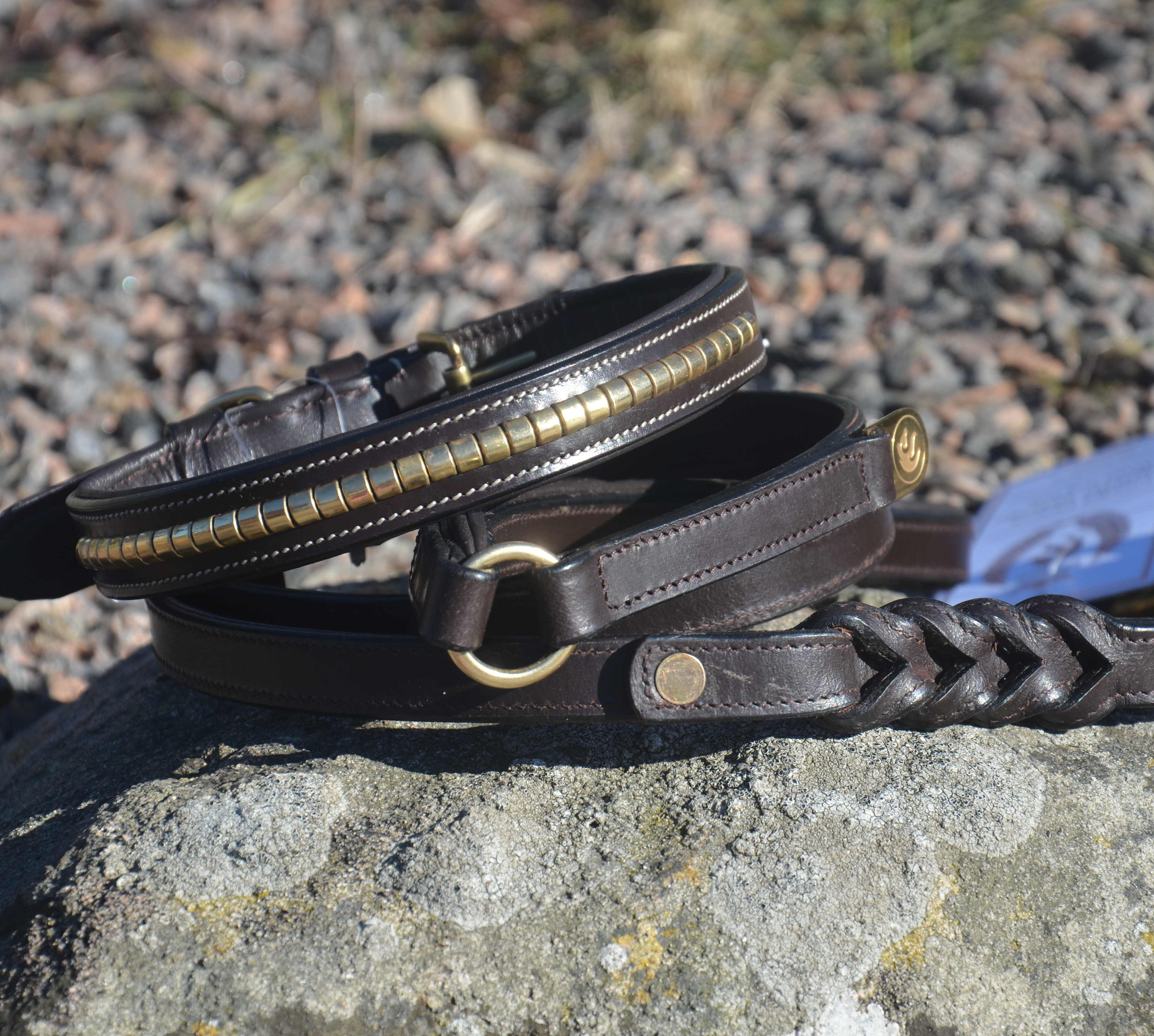 Premium Collar para perro in natural tanned leather and classic clincher
