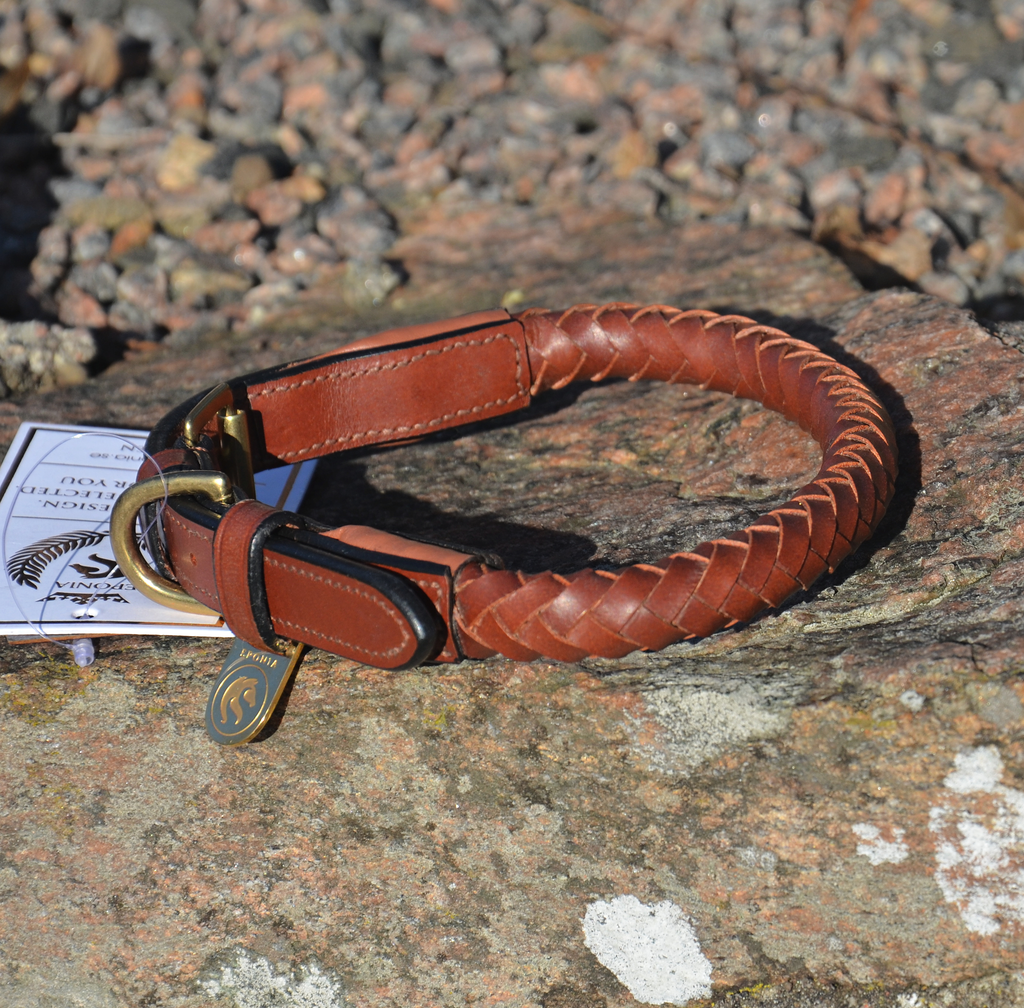 Premium Collar para perro in rounded natural tanned leather