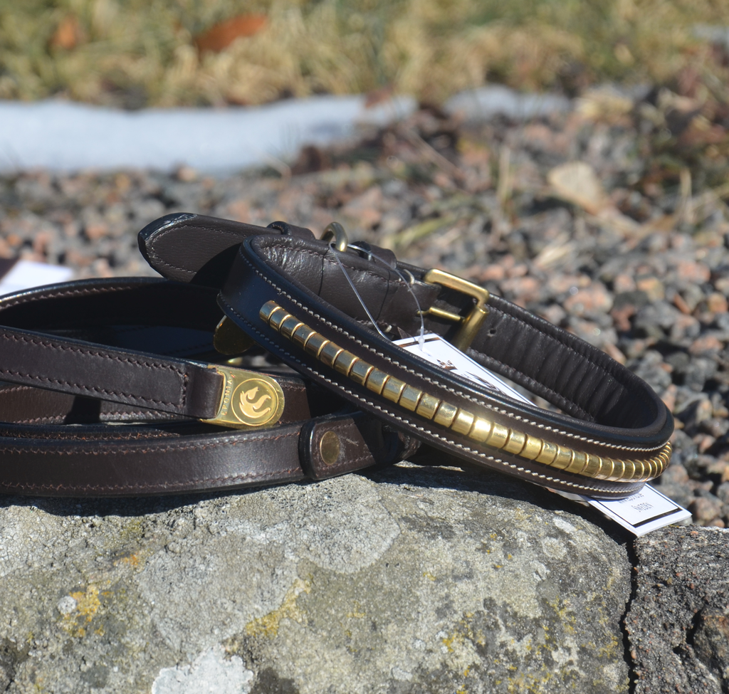 Premium Halsband für Hund in natural tanned leather and classic clincher