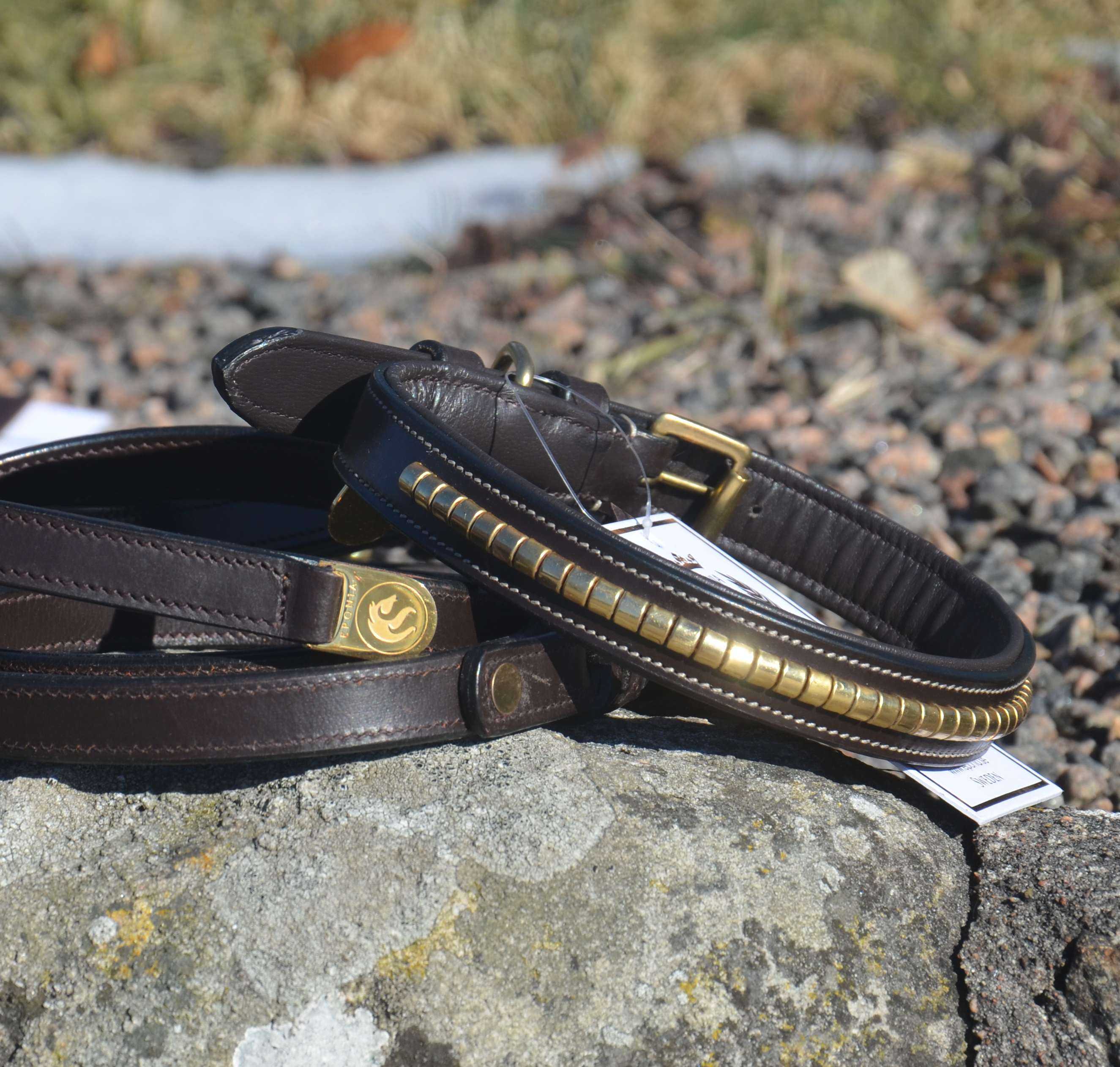 Premium Collar para perro in natural tanned leather and classic clincher