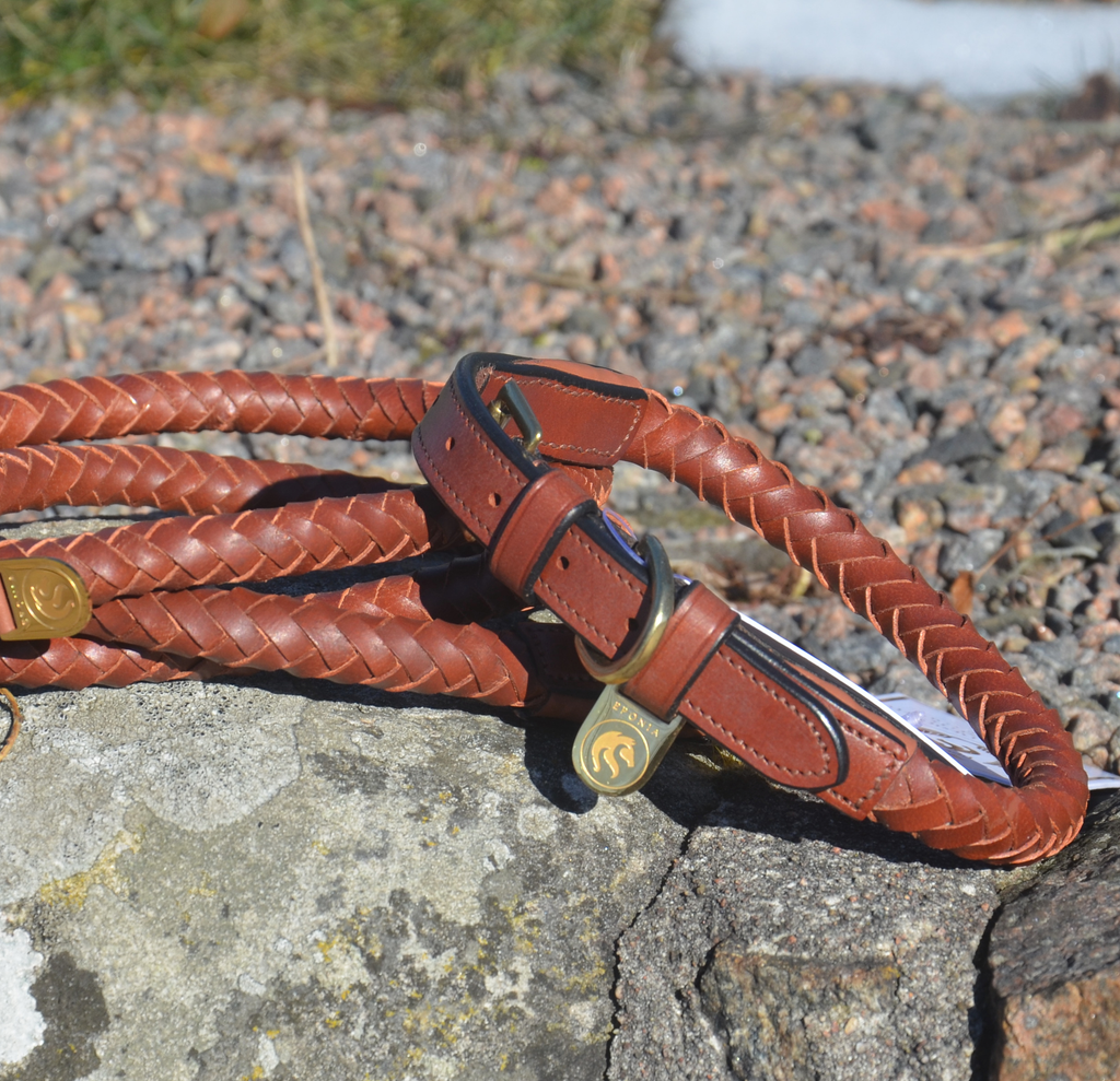 Premium Collar para perro in rounded natural tanned leather