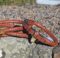 Premium Collar para perro in rounded natural tanned leather