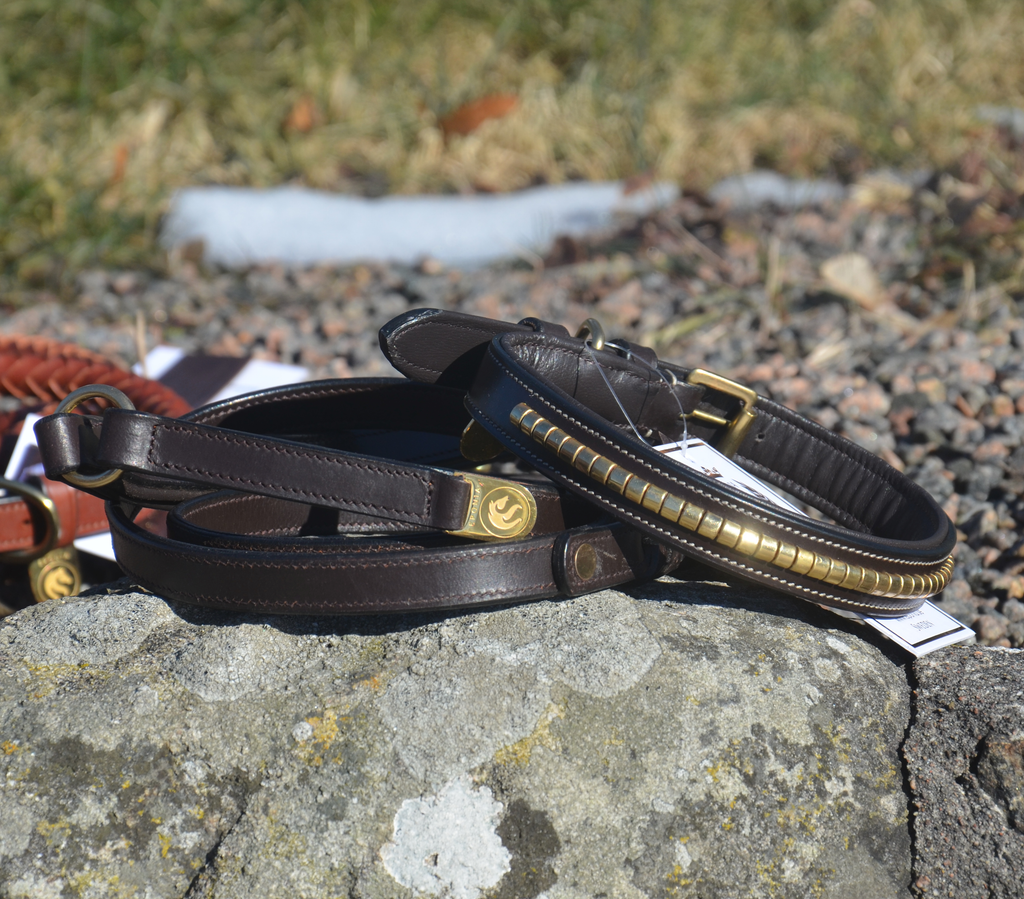 Premium Halsband für Hund in natural tanned leather and classic clincher