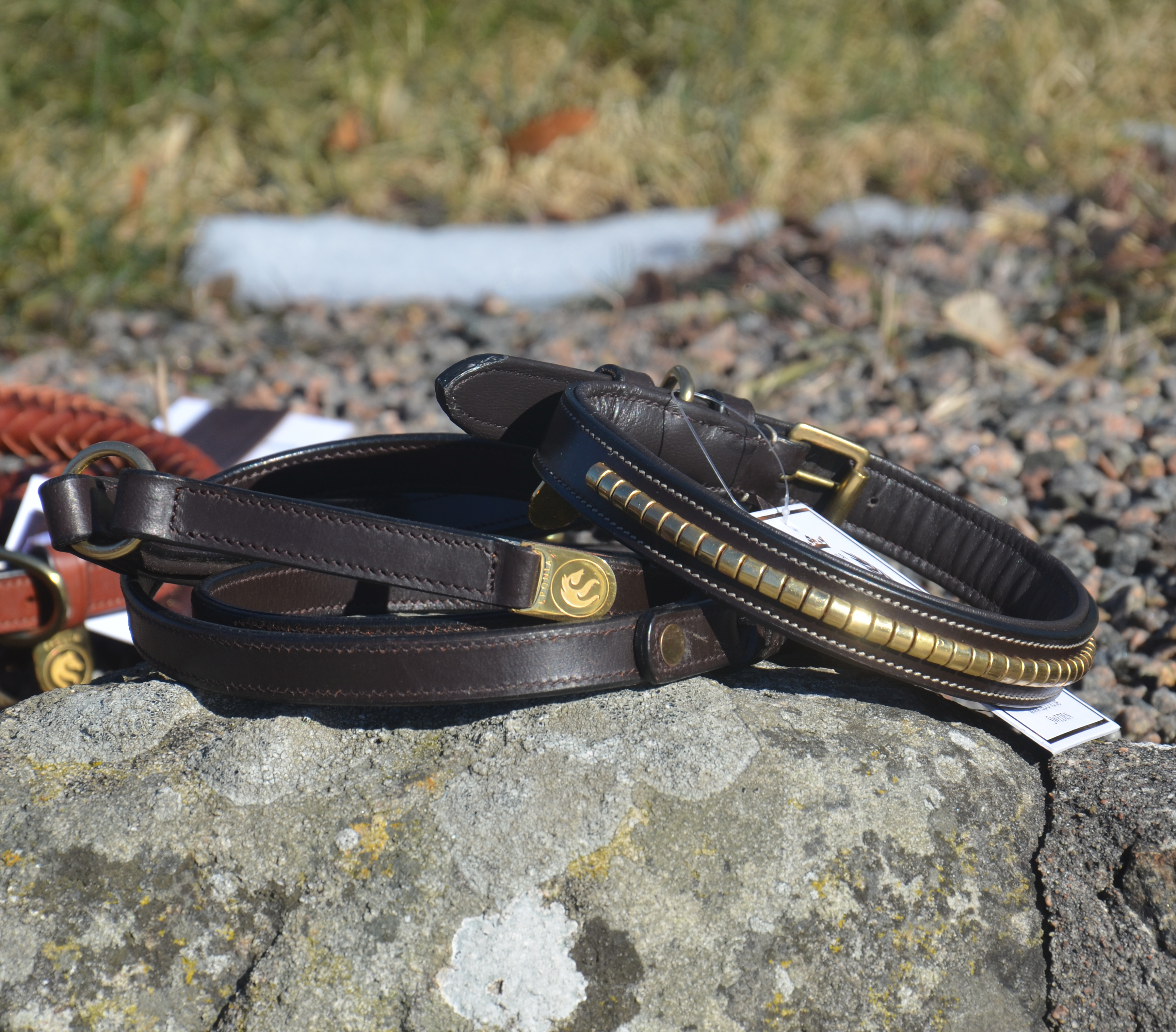 Premium Collar para perro in natural tanned leather and classic clincher