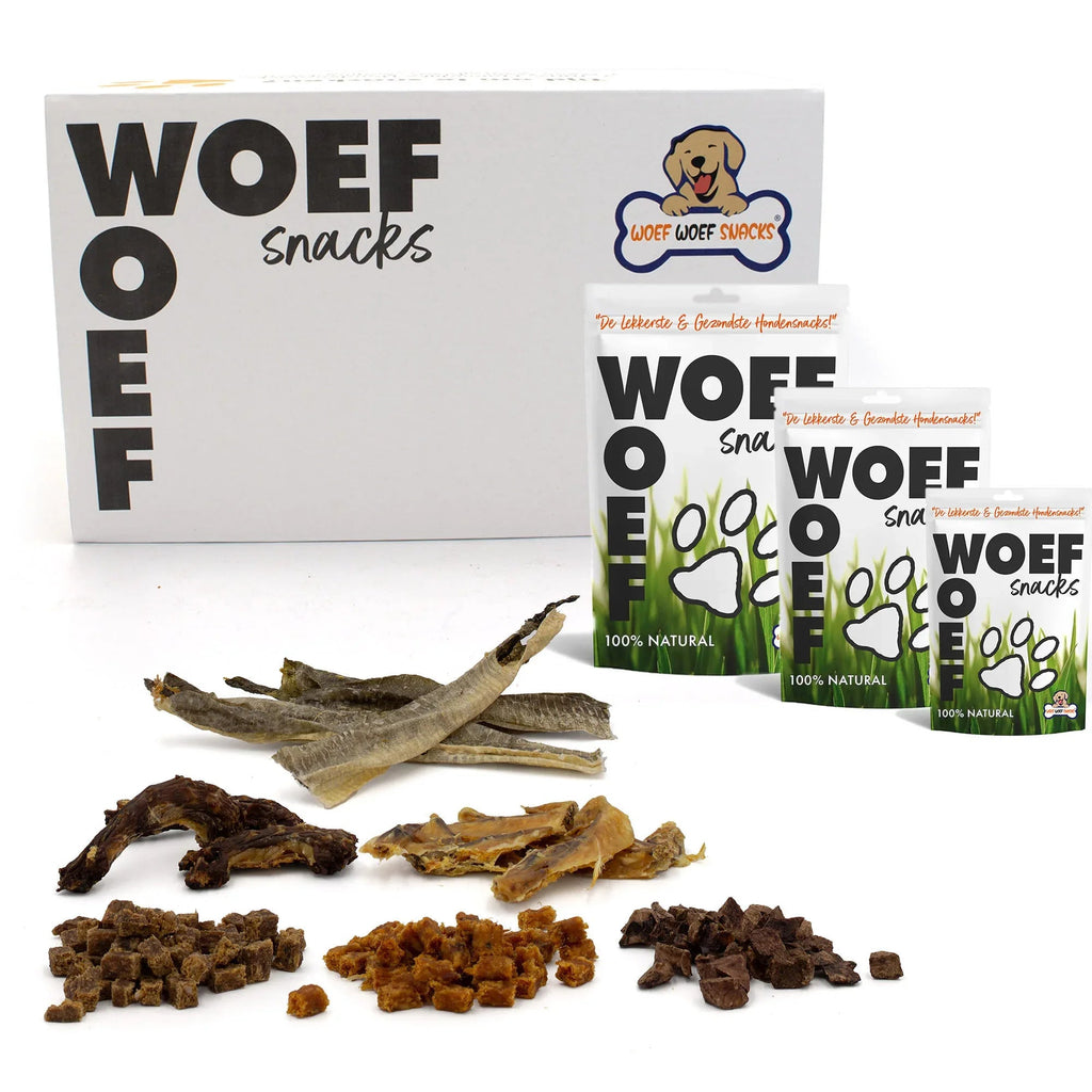 Snackbox natural für Hunde S