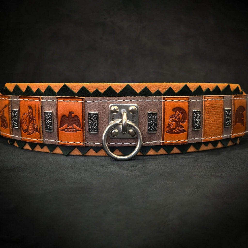 The ''SPQR'' Collar para perro